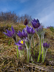 Similar image 22525995