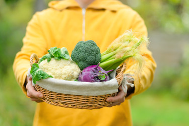 Similar image 22578393