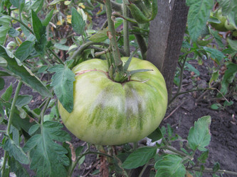 Similar image 22530909