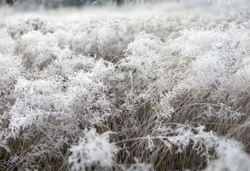 Similar image 22555468