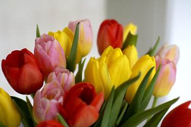 Similar image 22558588