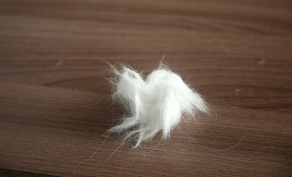 Similar image 22522986