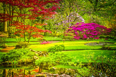 Similar image 22587624