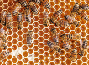 Similar image 22580257