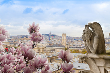 Similar image 22587789