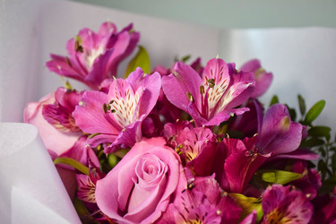 Similar image 22594786