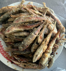 Similar image 22520680