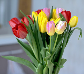 Similar image 22520681