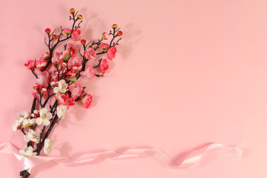 Similar image 22527936