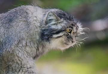 Similar image 22580272