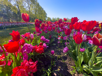 Similar image 22588060