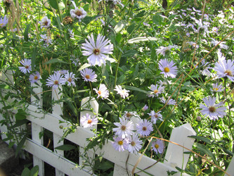 Similar image 22530974