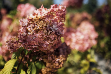 Similar image 22528361