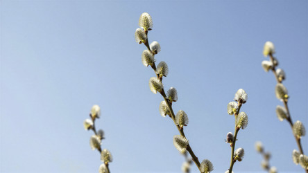 Similar image 22556273