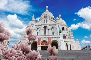 Similar image 22587340