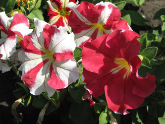 Similar image 22530911