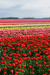 Similar image 22587444