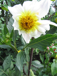 Similar image 22530912