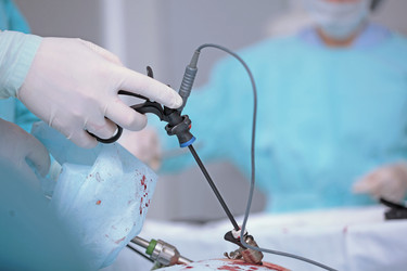 Similar image 22555914