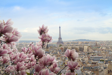 Similar image 22587564