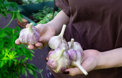 Similar image 22523029