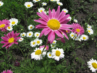 Similar image 22530914