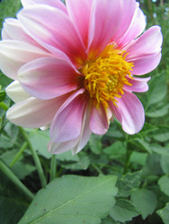 Similar image 22530931