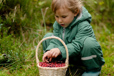 Similar image 22578457