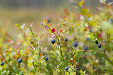 Similar image 22580260