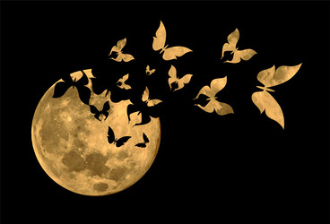 Similar image 22534640