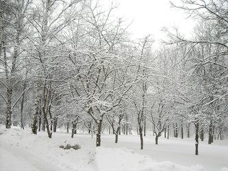 Similar image 22527737