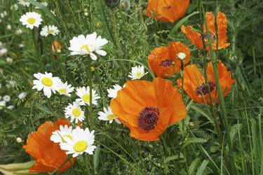 Similar image 22527513