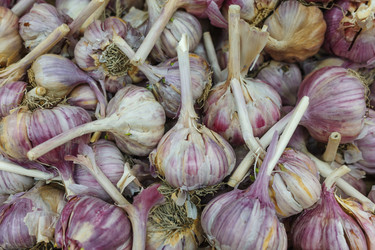 Similar image 22580274