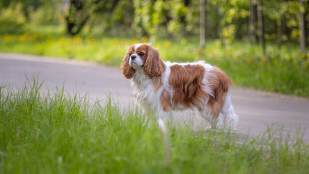 Similar image 22580275