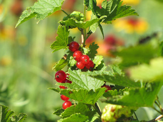 Similar image 22530933