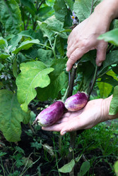 Similar image 22523031