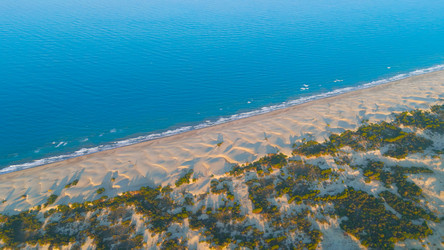 Similar image 22523179