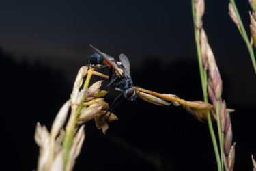 Similar image 22577567