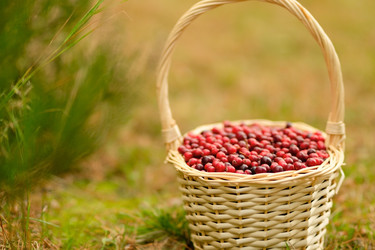 Similar image 22578312