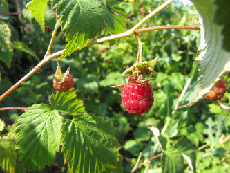 Similar image 22530895