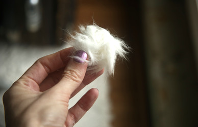 Similar image 22522987