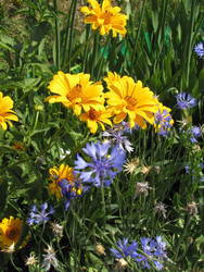 Similar image 22530915