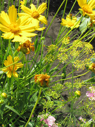 Similar image 22530917