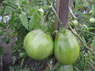 Similar image 22530918