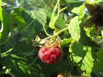 Similar image 22530920