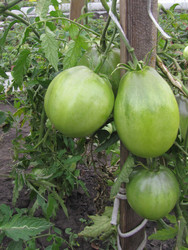 Similar image 22530921