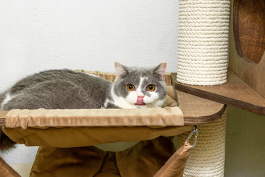 Similar image 22525973