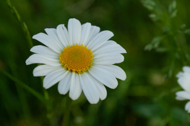 Similar image 22533271