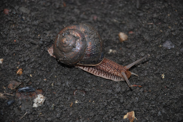 Similar image 22536292