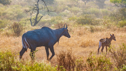 Similar image 22580262